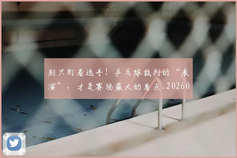 别只盯着选手!乒乓球裁判的“表演”,才是赛场最大的看点_20260703220505